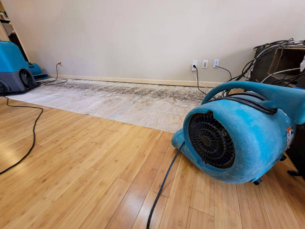 Professional Water Removal technician working in Two Harbors, MN